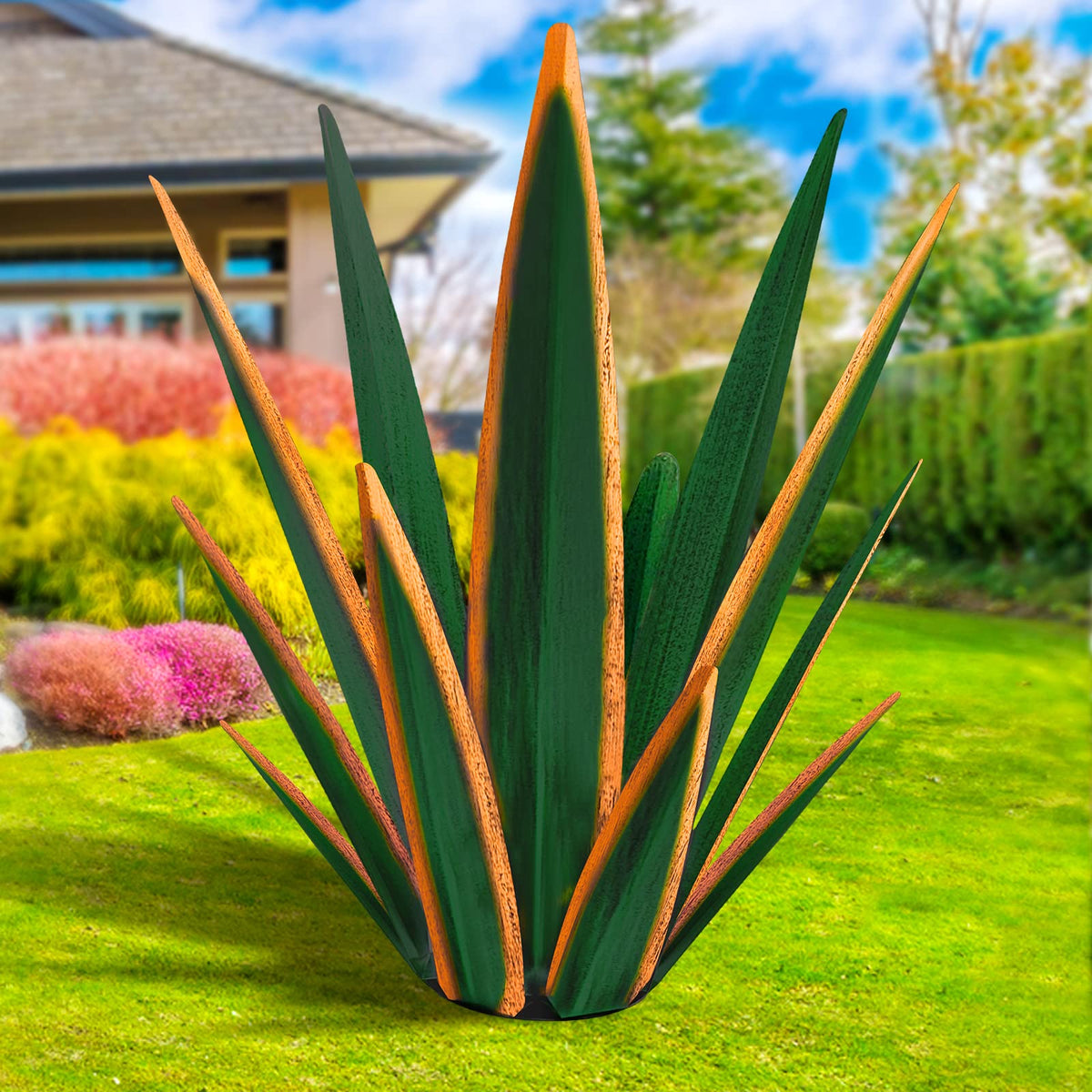 KODIBO agave frontal mostrando presencia y durabilidad