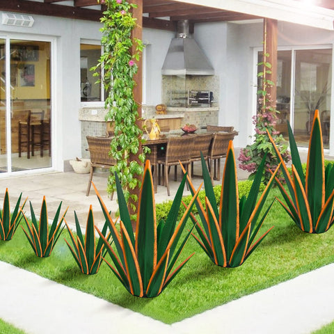 KODIBO agave en jardín aportando punto focal y estilo