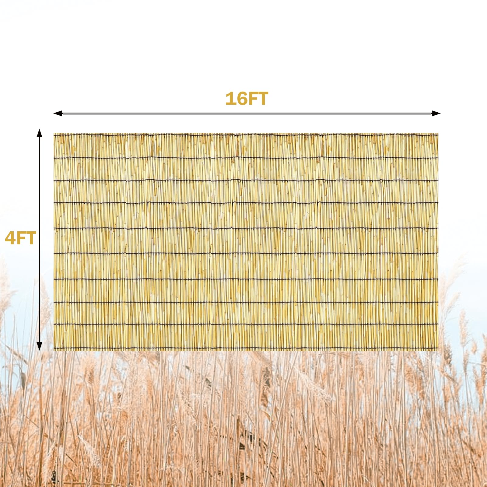 KOIUEYW primer plano textura de caña resaltando acabado suave