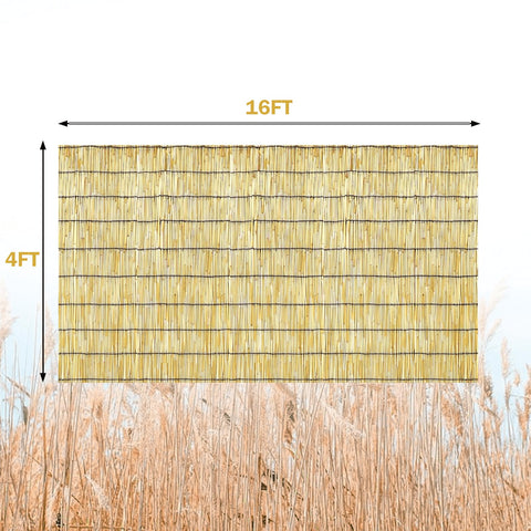 KOIUEYW primer plano textura de caña resaltando acabado suave