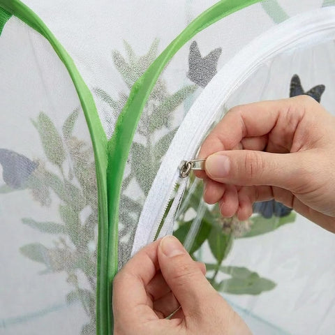 KraAra interior con plantas milkweed demostrando capacidad segura