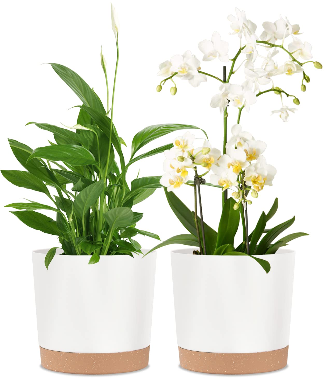 kubvici maceta frontal blanca 8" mostrando diseño minimalista y beneficio estético