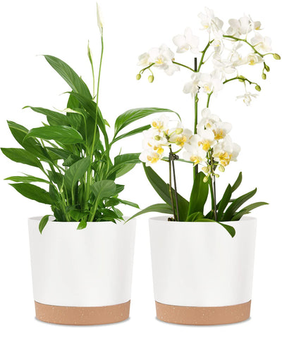 kubvici maceta frontal blanca 8" mostrando diseño minimalista y beneficio estético