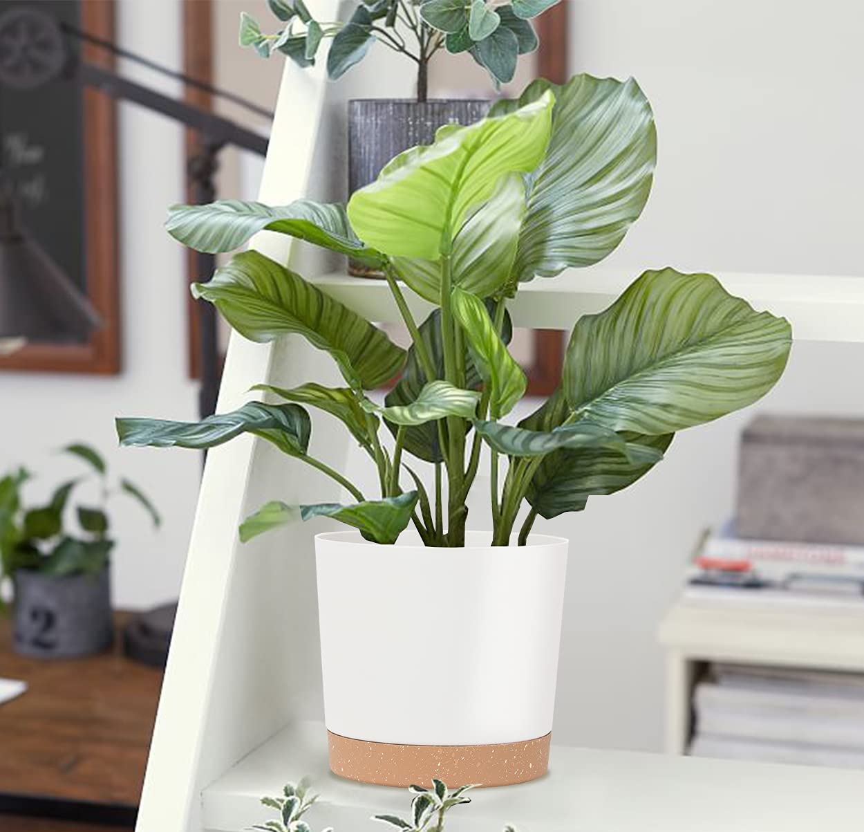 kubvici set ambientado en salón integrando estilo y funcionalidad