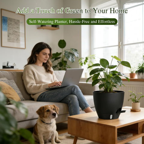 KUGAZ maceta en uso sobre mesa interior aportando decoración y funcionalidad