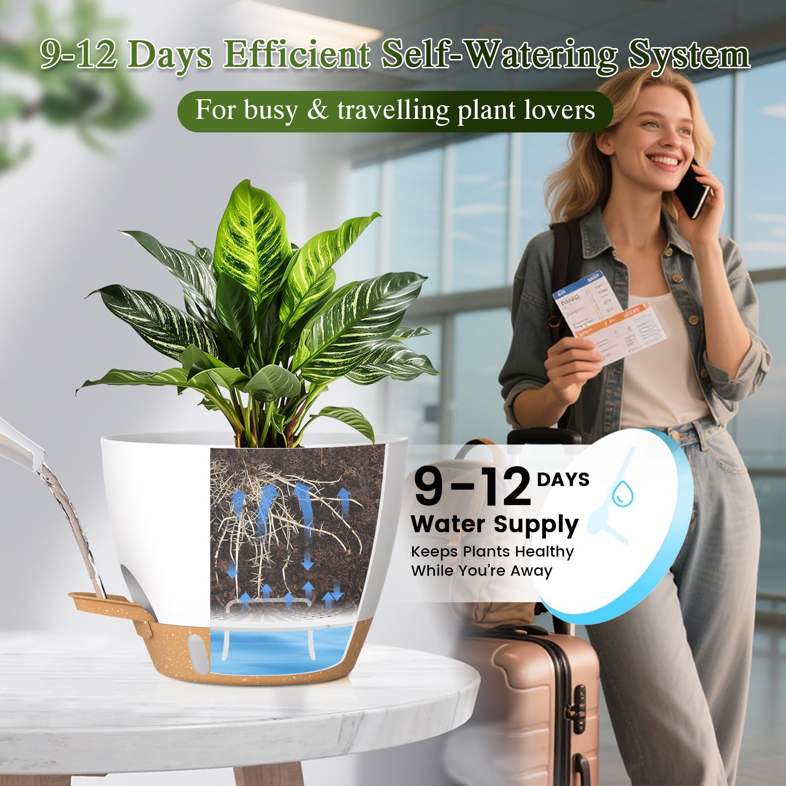 KUGAZ maceta con monstera demuestra soporte para plantas grandes