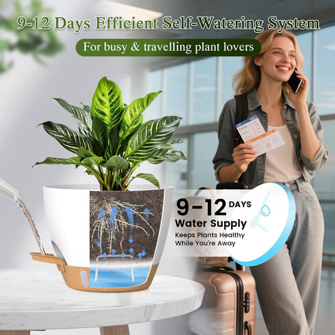 KUGAZ maceta con monstera demuestra soporte para plantas grandes
