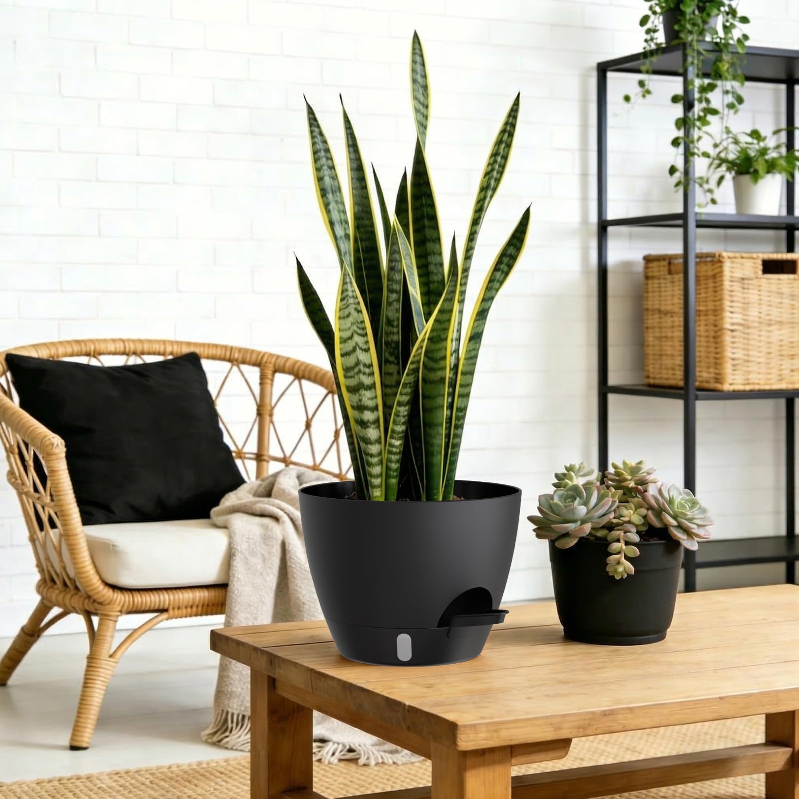 KUGAZ maceta en uso en salón mejora la decoración y salud vegetal