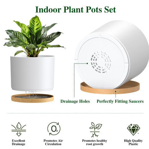 KUGAZ conjunto de macetas con plantas para visualización de escala y estilo
