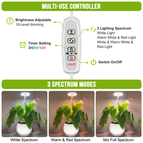 Kullsinss luz colocada sobre base iluminando una maceta en escritorio