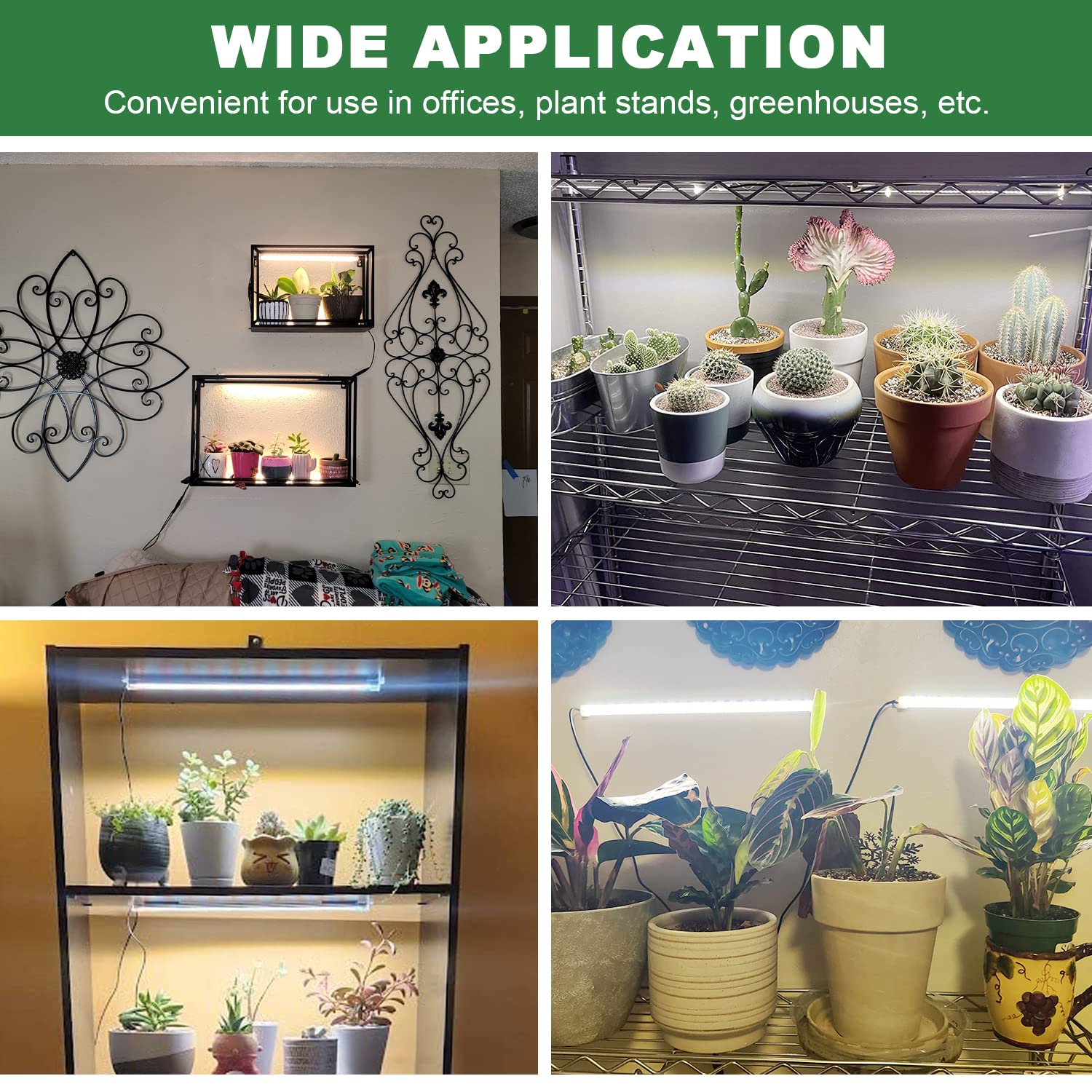 Kullsinss ambiente de oficina con plantas beneficiadas por luz constante