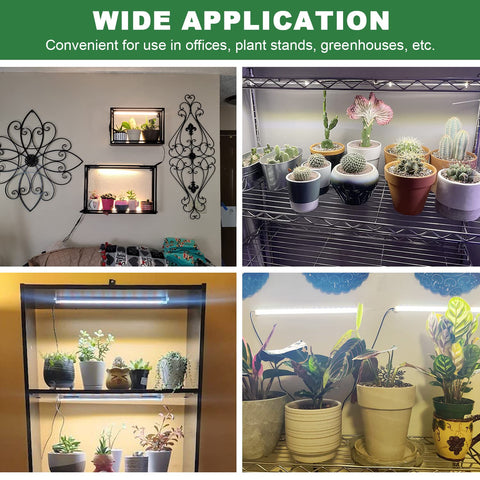 Kullsinss ambiente de oficina con plantas beneficiadas por luz constante