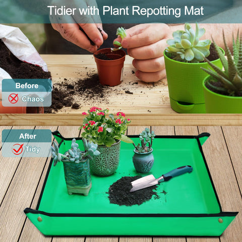 Kynup esterilla impermeable para trasplantes protegiendo una mesa