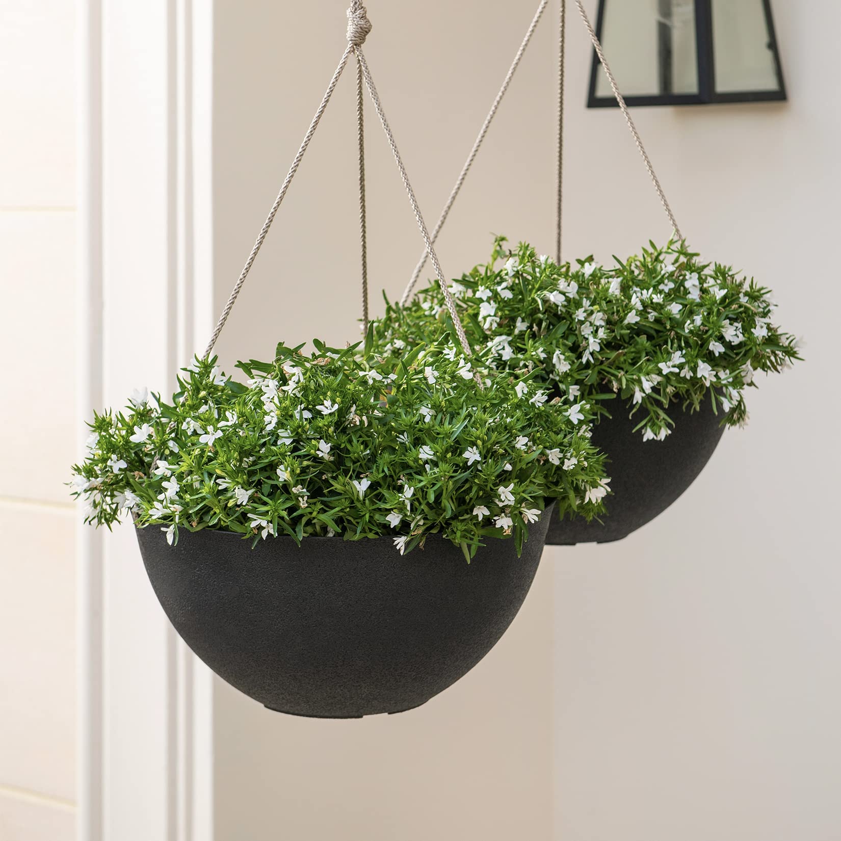 LA JOLIE MUSE cuerdas triples y ganchos para colgar, facilidad de instalación