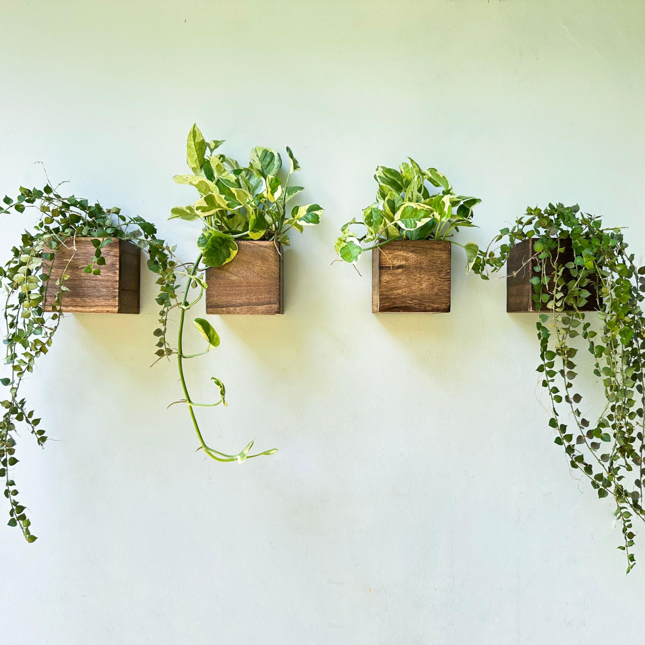LáLáGreen caja frontal pack de 4 mostrando diseño rústico y ahorro de espacio