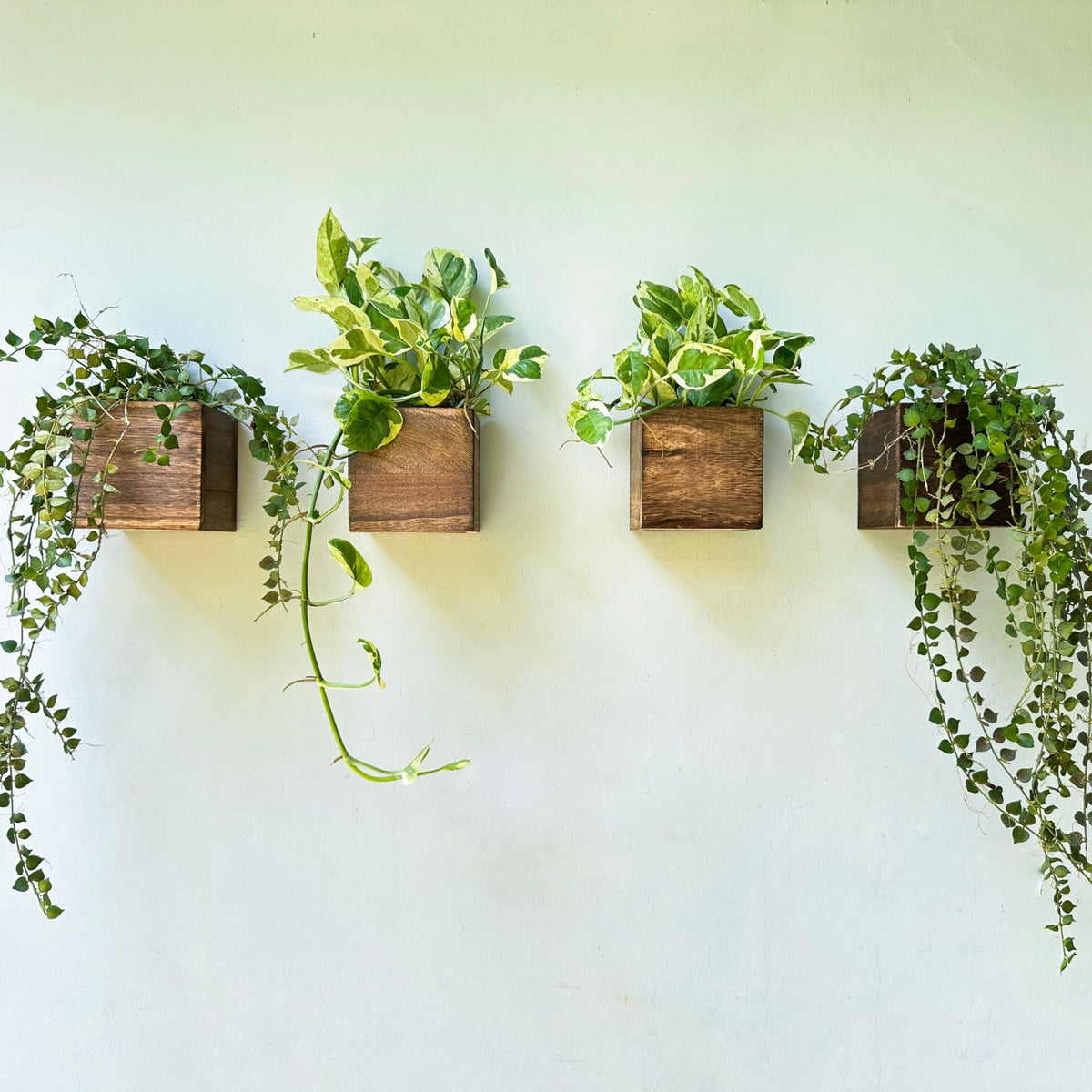 LáLáGreen caja frontal pack de 4 mostrando diseño rústico y ahorro de espacio