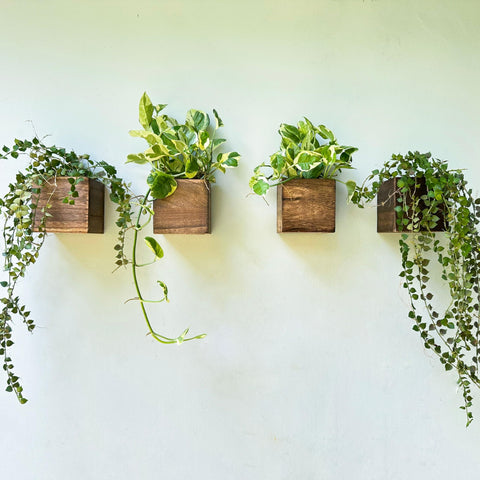 LáLáGreen caja frontal pack de 4 mostrando diseño rústico y ahorro de espacio