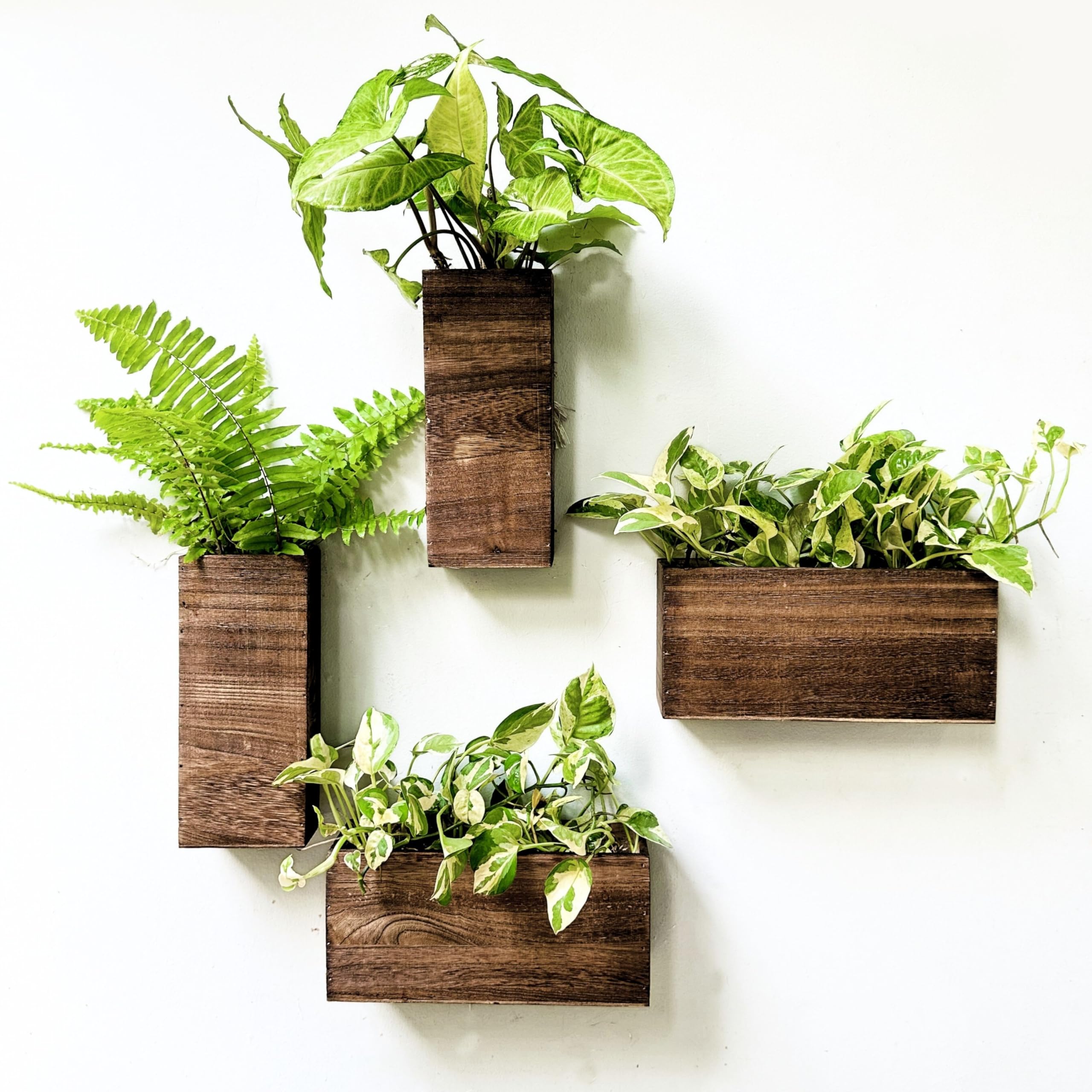 LáLáGreen jardinera pared frontal mostrando diseño y ahorro de espacio