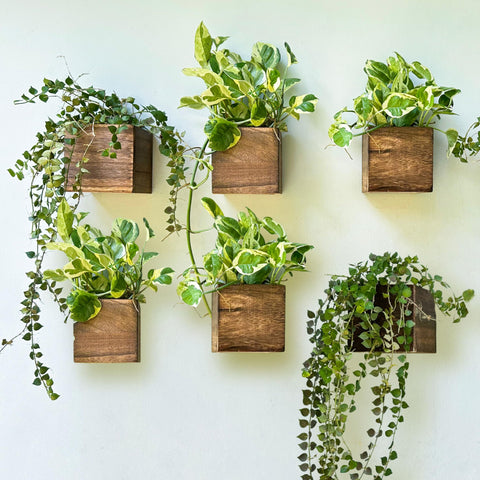 LáLáGreen maceta frontal mostrando diseño rústico y aspecto natural