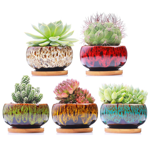 LamDawn maceta frontal conjunto mostrando colores vivos y acabado decorativo