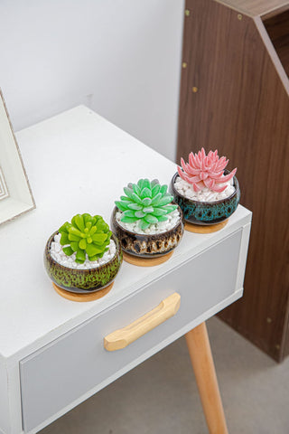 LamDawn macetas como centro de mesa, añade color y estilo a la decoración