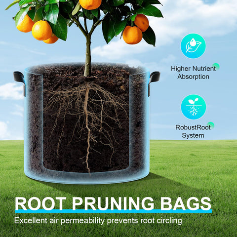 Land Guard bolsas en un balcón con tomates y pimientos demostrando cultivo compacto eficiente