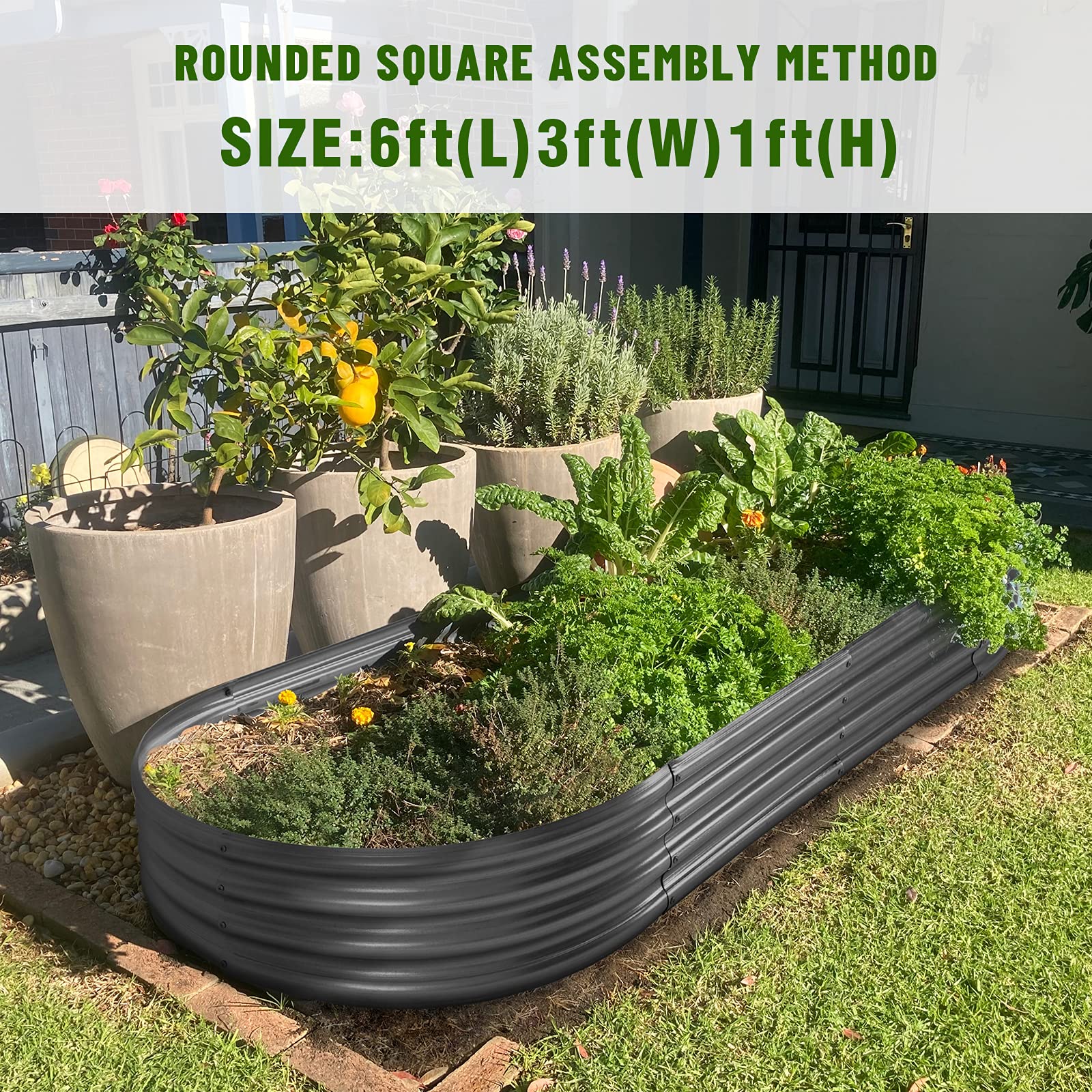 Land Guard con verduras y hierbas creciendo para mostrar rendimiento y organización
