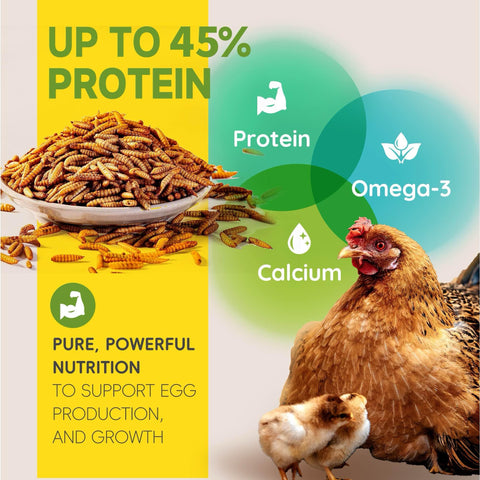 Larvevo primer plano de textura de larvas secas con aspecto nutritivo