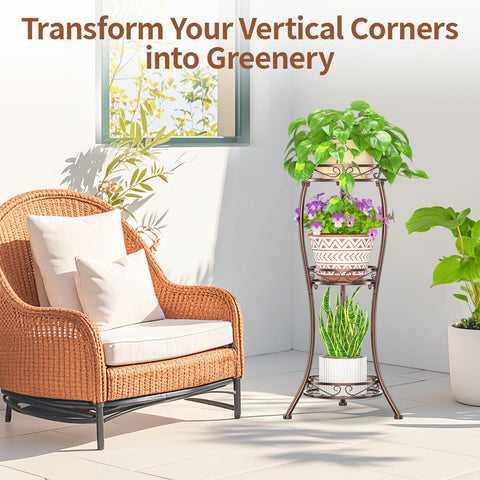 LASZOLA en entrada con plantas decorativas, crea un punto focal acogedor