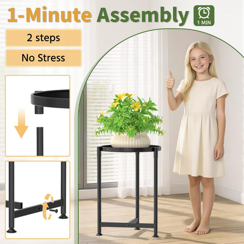 LASZOLA soporte con planta colgante optimizando luz y presencia