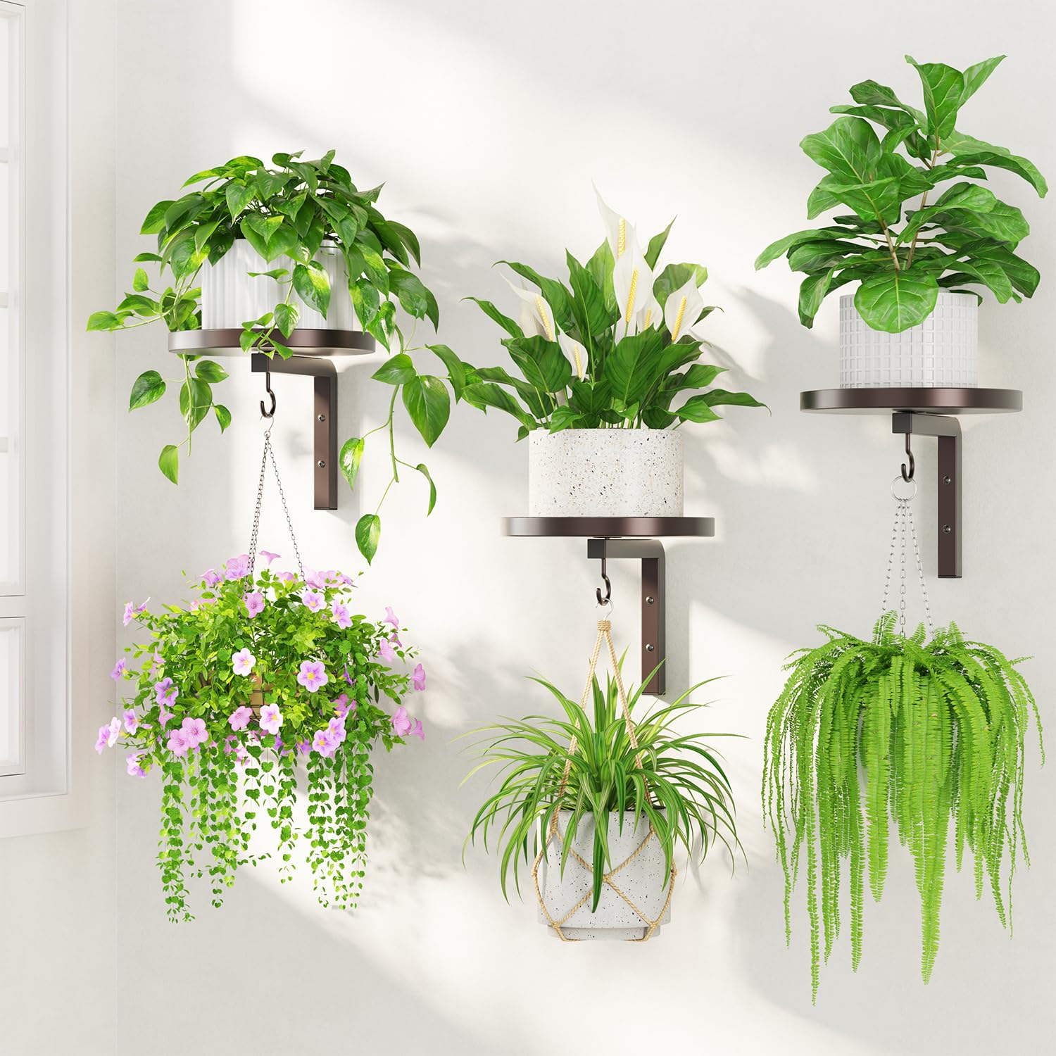 LASZOLA soporte frontal mostrando bandeja y gancho para maximizar plantas