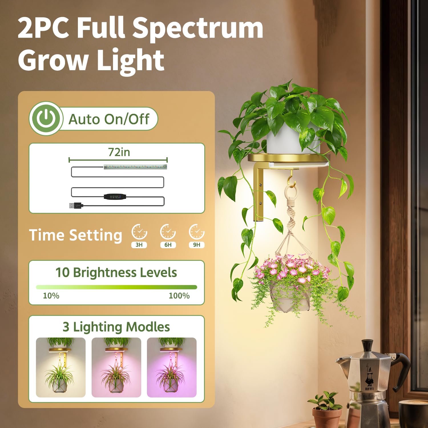 LASZOLA luces LED encendidas promoviendo crecimiento en interiores