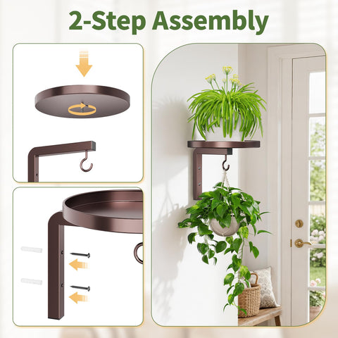 LASZOLA estante instalado junto a ventana optimizando luz para crecimiento vegetal