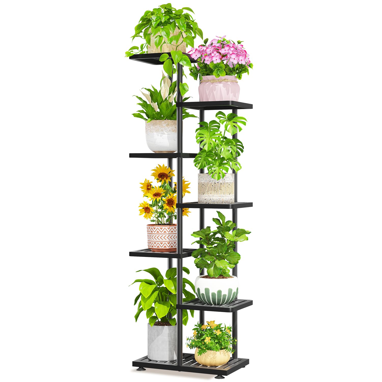 LASZOLA vista frontal del soporte de 6 niveles con plantas, exhibición ordenada