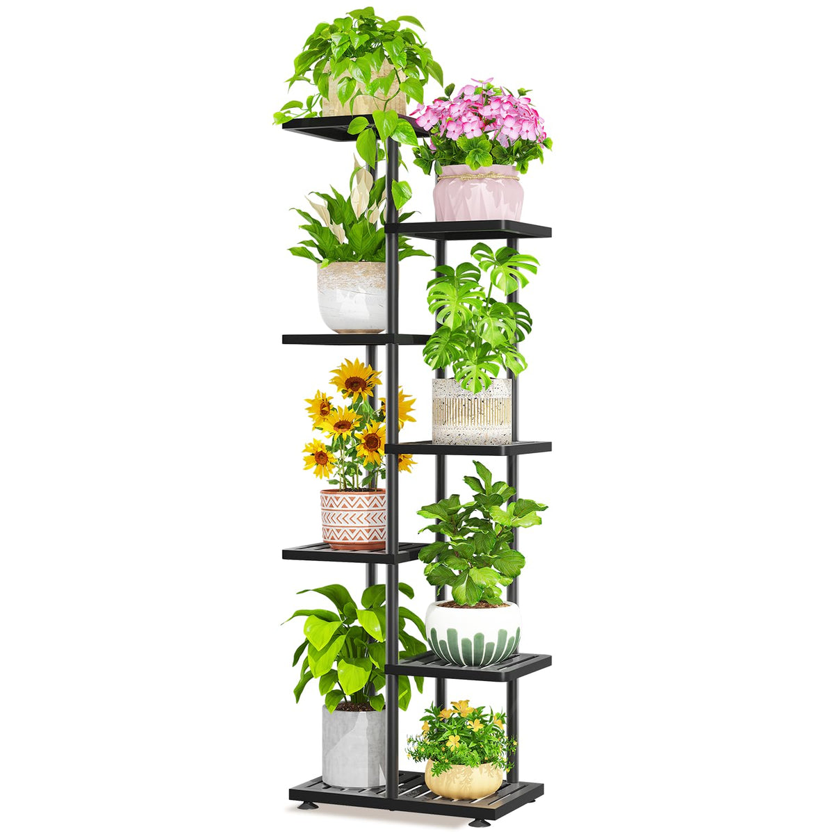 LASZOLA vista frontal del soporte de 6 niveles con plantas, exhibición ordenada
