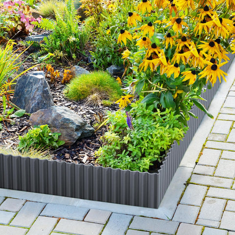 LAVEVE comparación de tamaño junto a una regla para valorar escala real