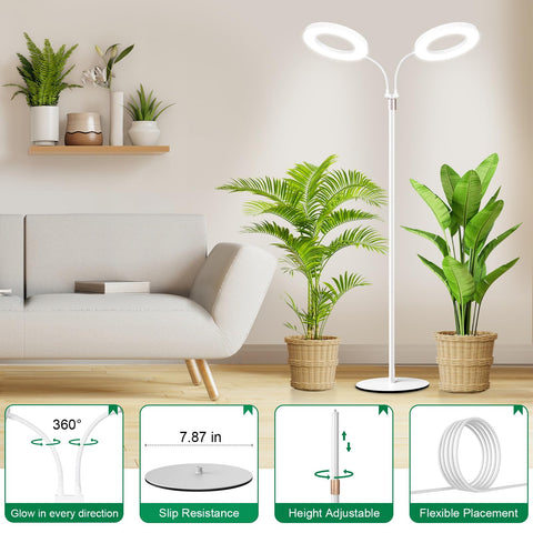 LBW lámpara en sala con plantas altas mostrando iluminación uniforme y estética
