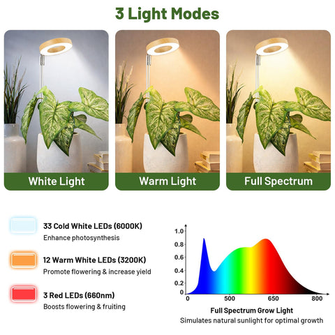 LBW close-up de leds full spectrum mostrando calidad y cobertura