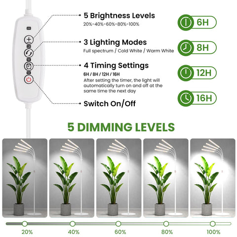 LBW comparación de altura junto a plantas altas para referencia de 75 pulgadas