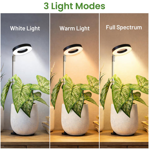LBW lámpara en uso sobre maceta de suculenta iluminando uniformemente