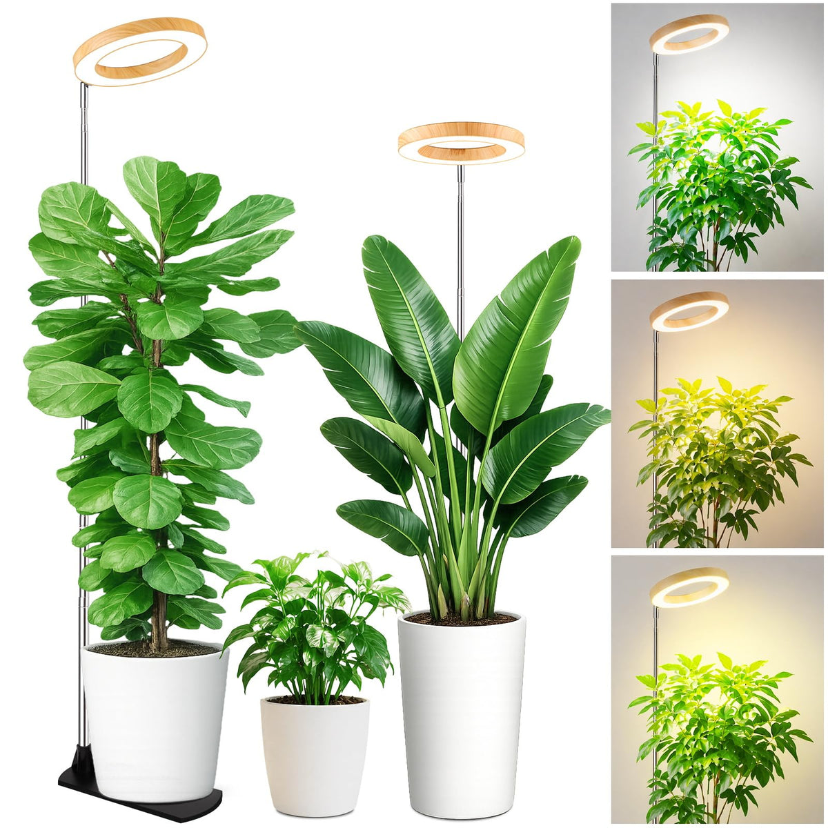 LBW vista frontal de la lámpara de cultivo con acabado bambú, aporta iluminación eficiente