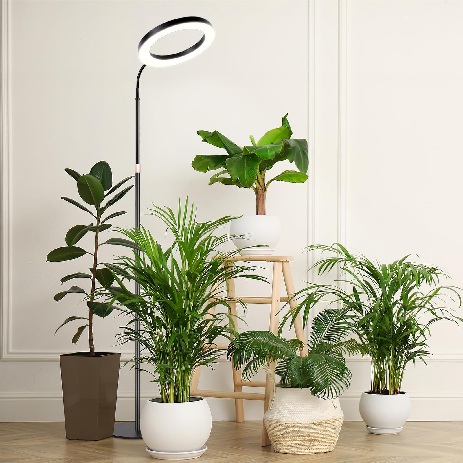LBW lámpara iluminando plantas en salón mostrando crecimiento controlado