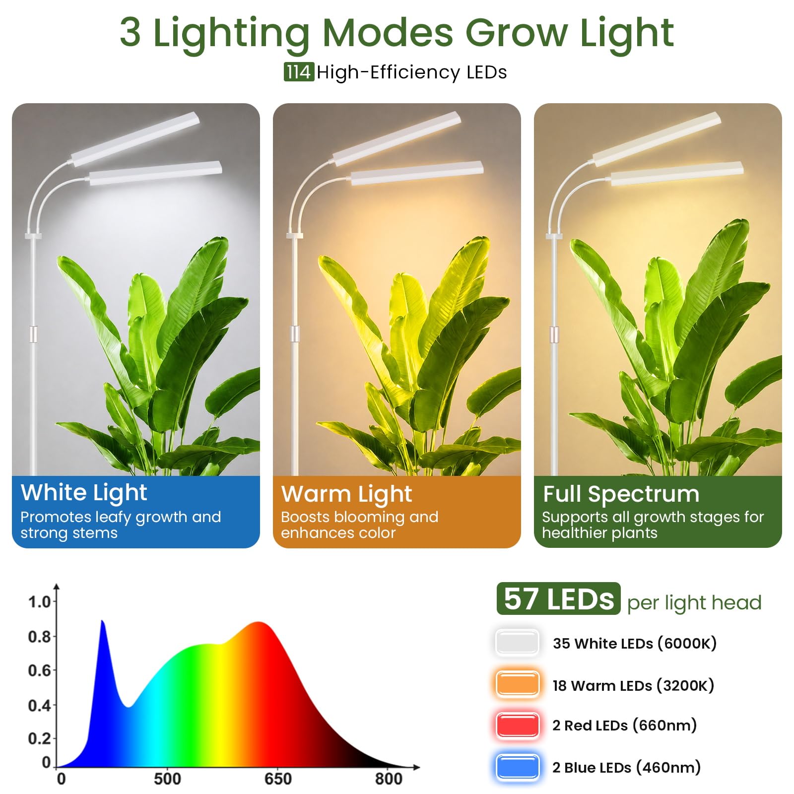 LBW luz en salón iluminando planta alta beneficiando su desarrollo