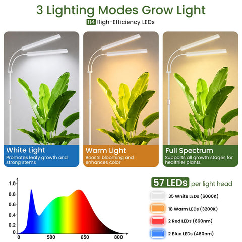 LBW luz en salón iluminando planta alta beneficiando su desarrollo