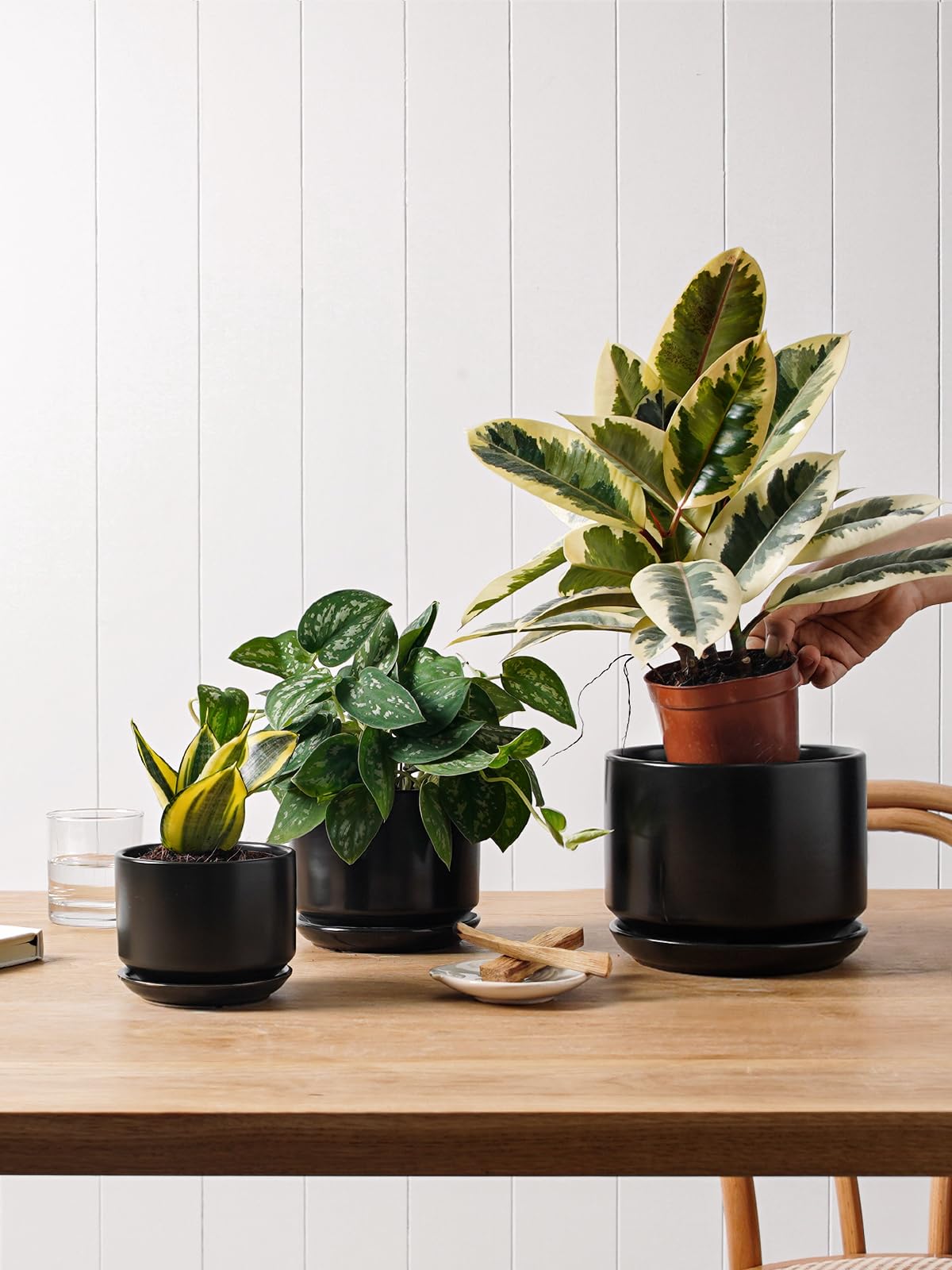 LE TAUCI maceta colocada en escritorio para decoración interior