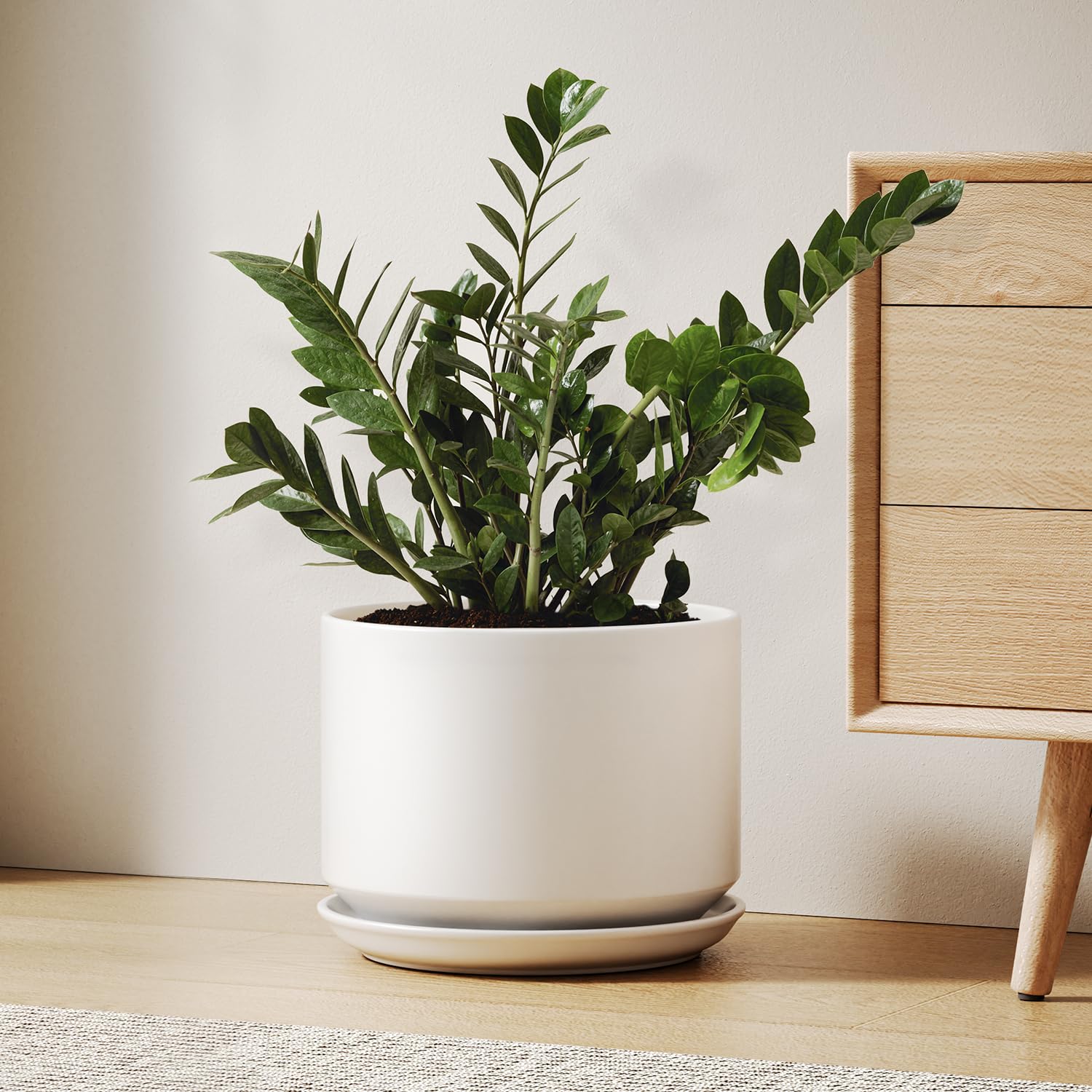 LE TAUCI maceta cerámica frontal mostrando diseño elegante y estabilidad