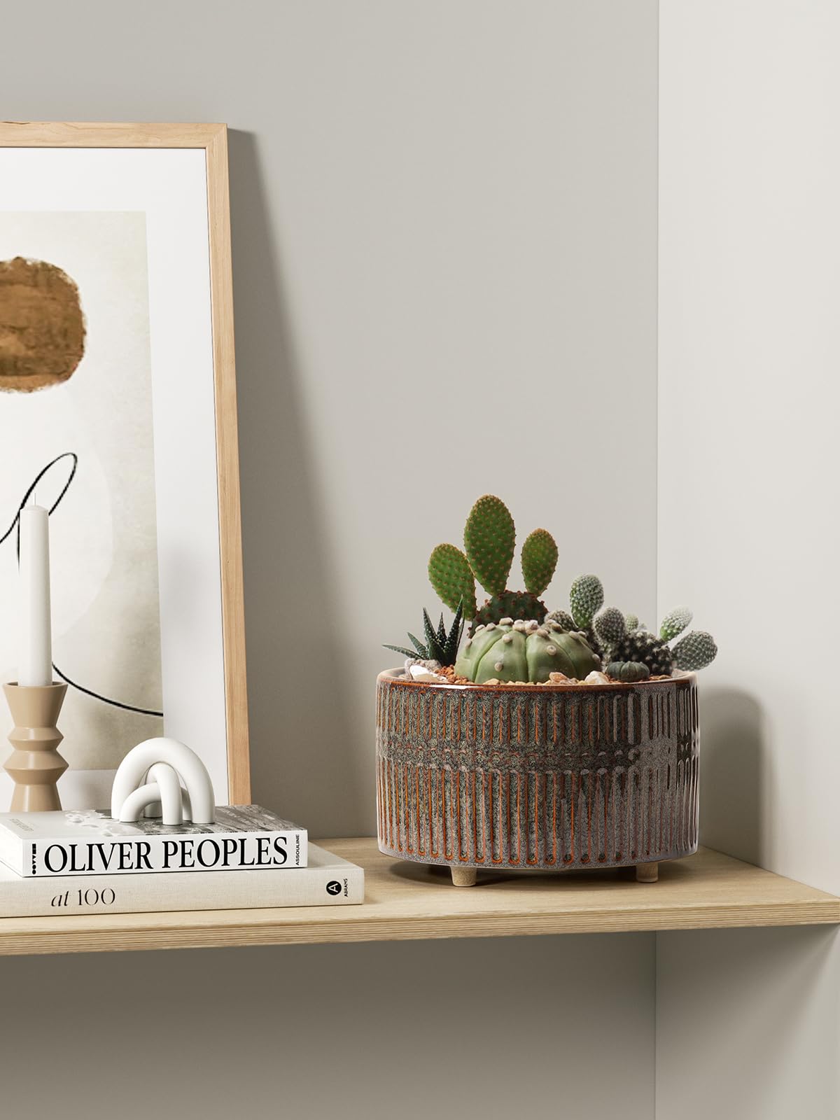 LE TAUCI macetas con suculentas en repisa, bonito efecto decorativo interior