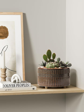 LE TAUCI macetas con suculentas en repisa, bonito efecto decorativo interior
