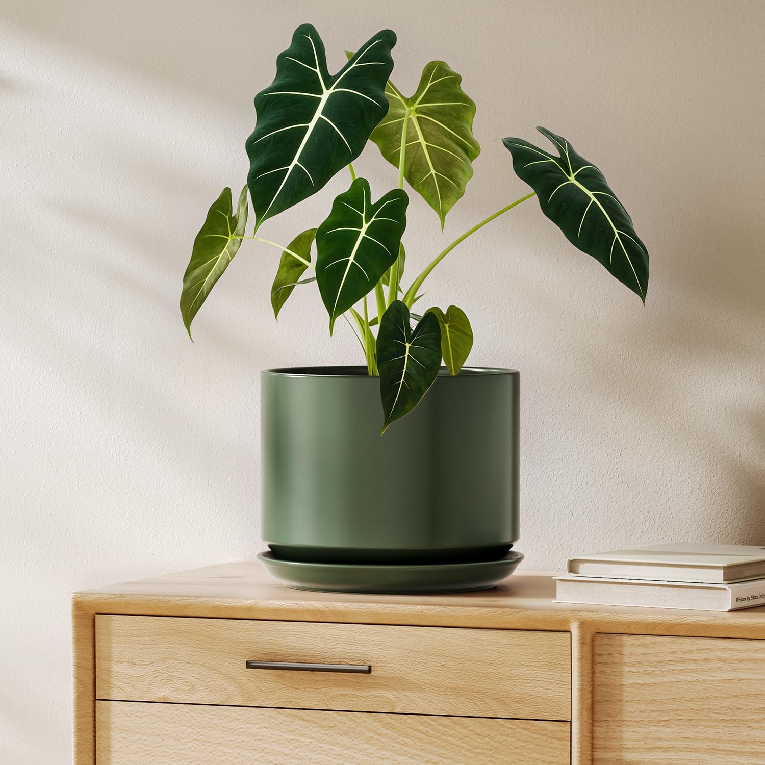 LE TAUCI maceta frontal verde mostrando diseño elegante y protección de muebles