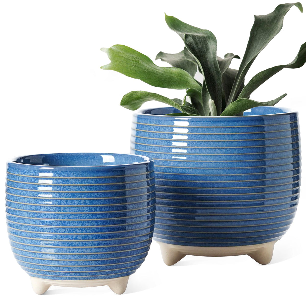 LE TAUCI maceta frontal azul mostrando diseño y estética